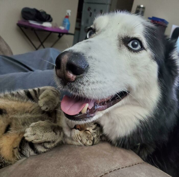 99 Wholesome Pics That Hit Harder Than A Pixar Movie