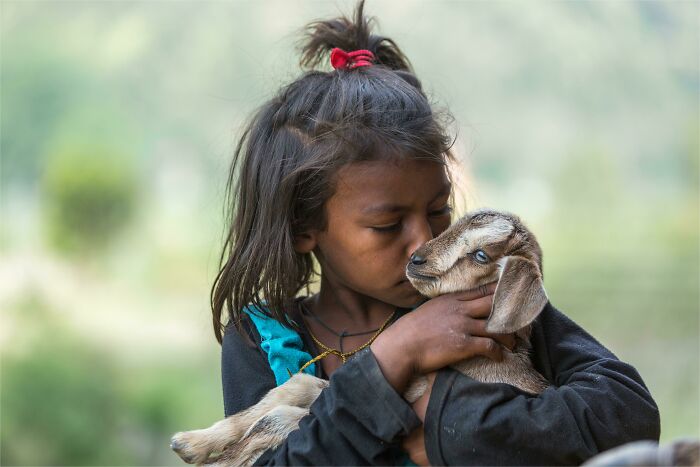 99 Wholesome Pics That Hit Harder Than A Pixar Movie