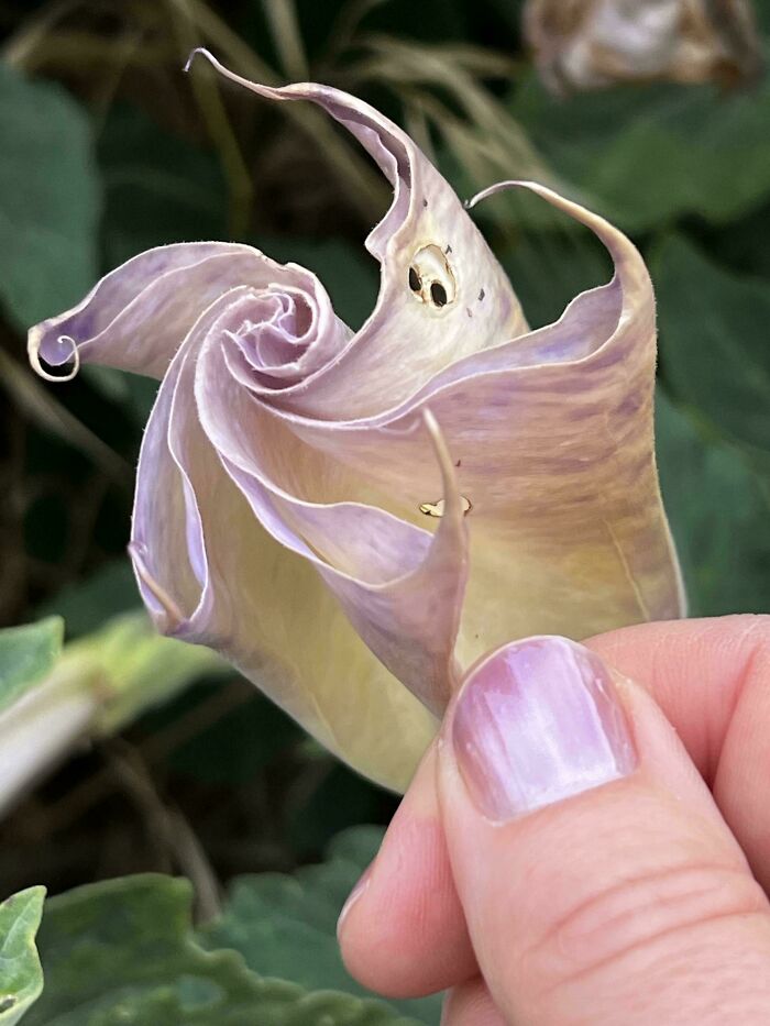 71 Satisfying Photos Of Accidental Color Matches That May Lower Your Cortisol Levels