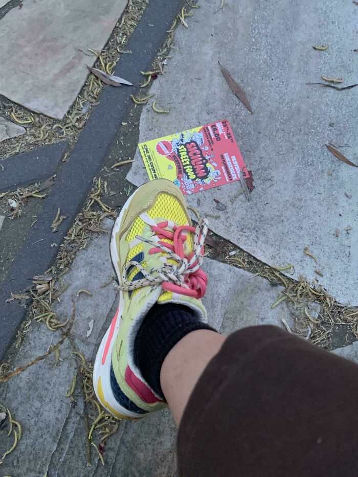 71 Satisfying Photos Of Accidental Color Matches That May Lower Your Cortisol Levels