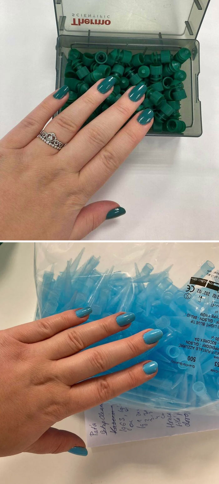 71 Satisfying Photos Of Accidental Color Matches That May Lower Your Cortisol Levels