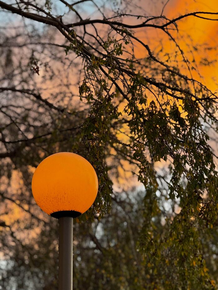 71 Satisfying Photos Of Accidental Color Matches That May Lower Your Cortisol Levels
