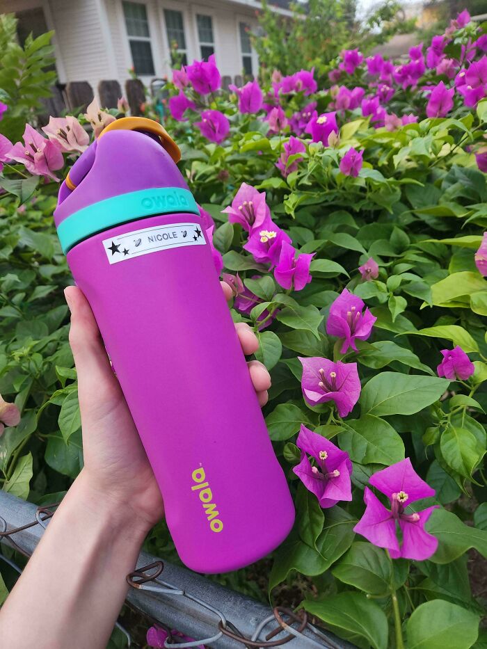 71 Satisfying Photos Of Accidental Color Matches That May Lower Your Cortisol Levels