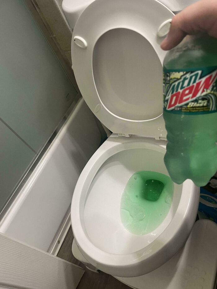 71 Satisfying Photos Of Accidental Color Matches That May Lower Your Cortisol Levels