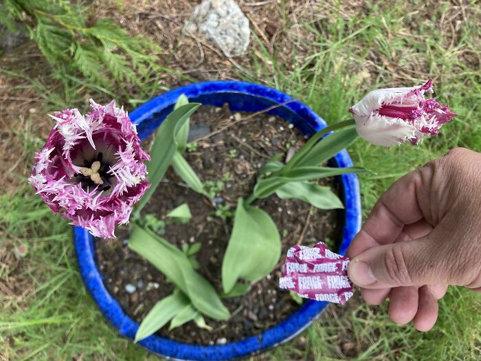 71 Satisfying Photos Of Accidental Color Matches That May Lower Your Cortisol Levels
