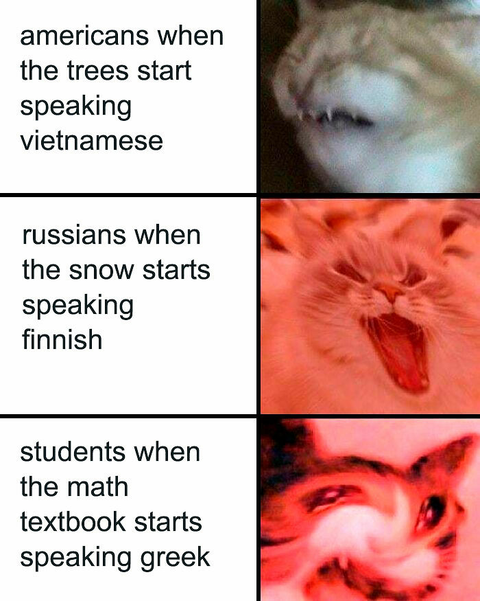 If You&rsquo;ve Ever Struggled With Math, These 83 Funny Memes Might Bring The Trauma Back