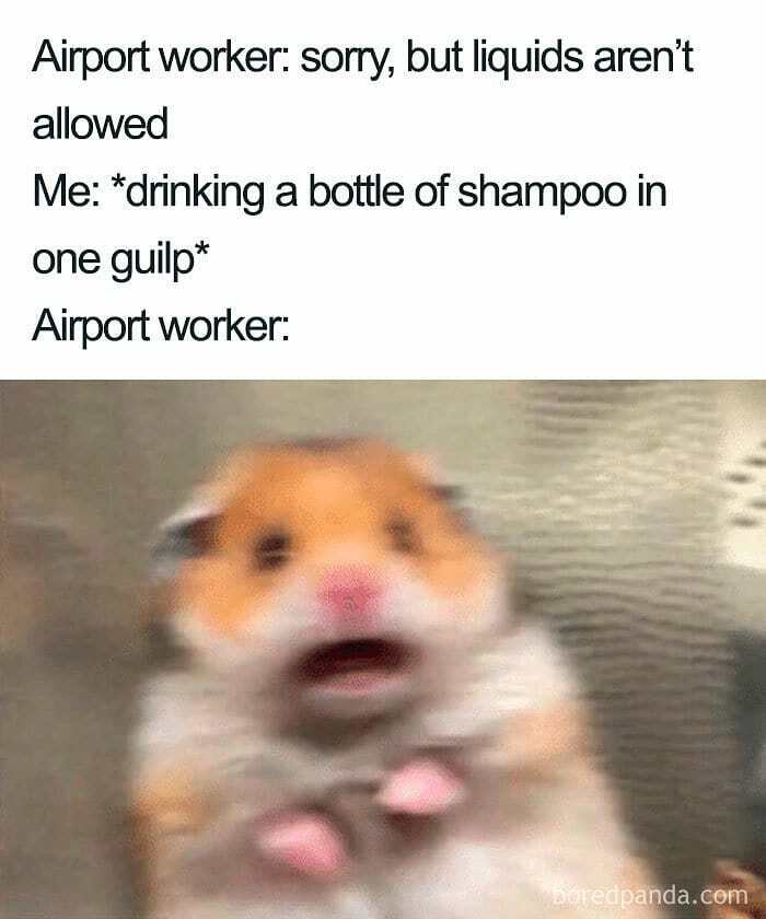 61 Travel Memes To Scroll Through While You&rsquo;re Stuck At Your Desk Instead Of A Beach
