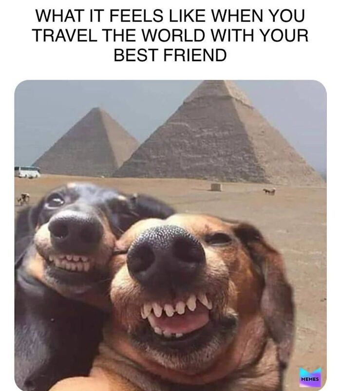 61 Travel Memes To Scroll Through While You&rsquo;re Stuck At Your Desk Instead Of A Beach