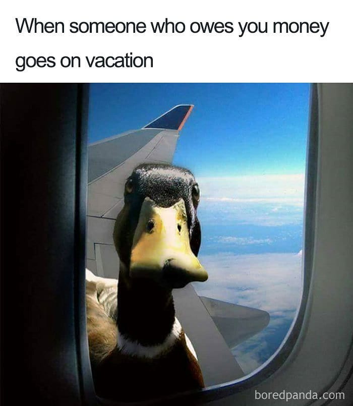 61 Travel Memes To Scroll Through While You&rsquo;re Stuck At Your Desk Instead Of A Beach