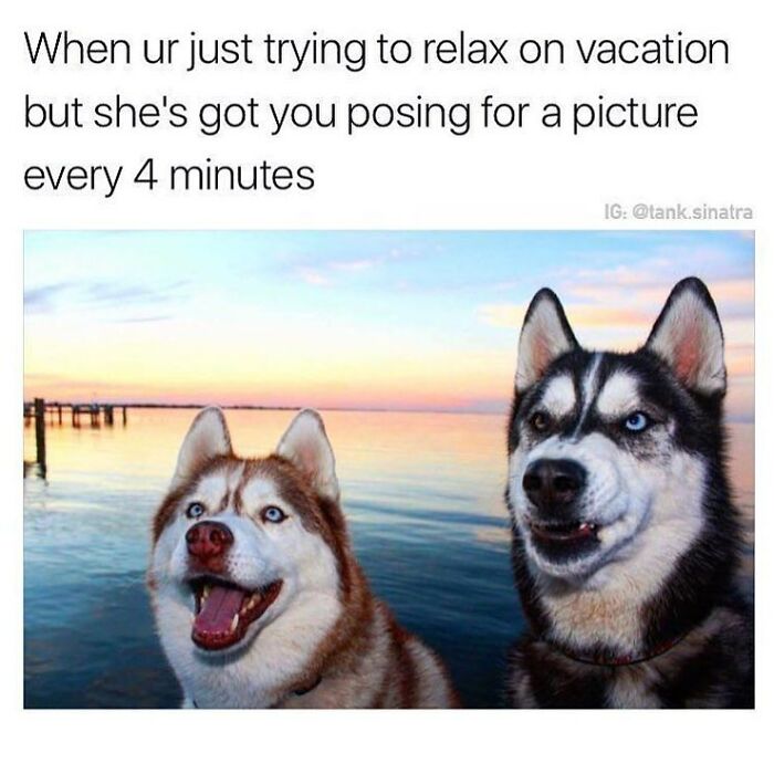 61 Travel Memes To Scroll Through While You&rsquo;re Stuck At Your Desk Instead Of A Beach