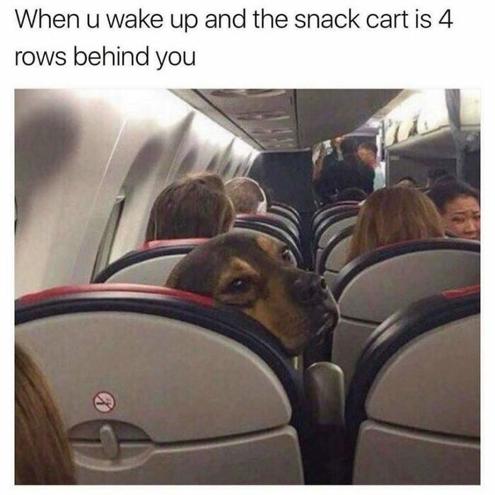 61 Travel Memes To Scroll Through While You&rsquo;re Stuck At Your Desk Instead Of A Beach