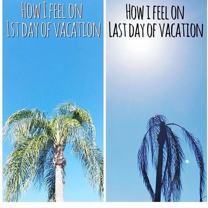61 Travel Memes To Scroll Through While You&rsquo;re Stuck At Your Desk Instead Of A Beach