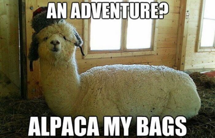 61 Travel Memes To Scroll Through While You&rsquo;re Stuck At Your Desk Instead Of A Beach