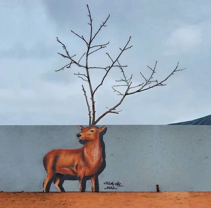 30 &lsquo;Urban Street Art&rsquo; Examples Perfectly Blended With Nature You Might Want To Travel Just To See
