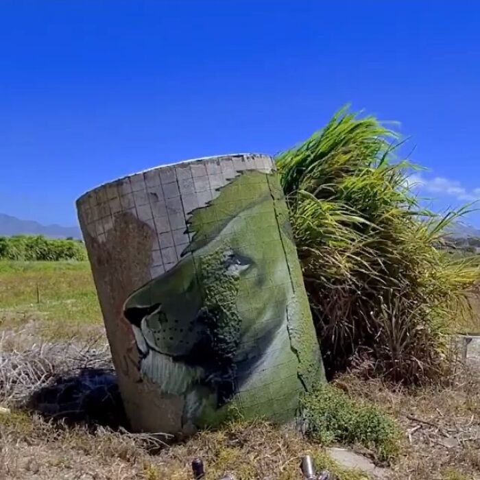 30 &lsquo;Urban Street Art&rsquo; Examples Perfectly Blended With Nature You Might Want To Travel Just To See
