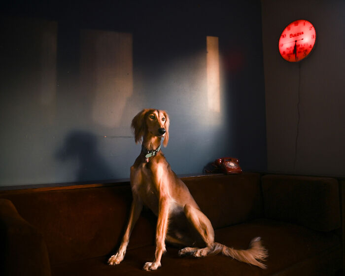 AAP Magazine Announces The 25 Winning Shadow-Themed Photographs