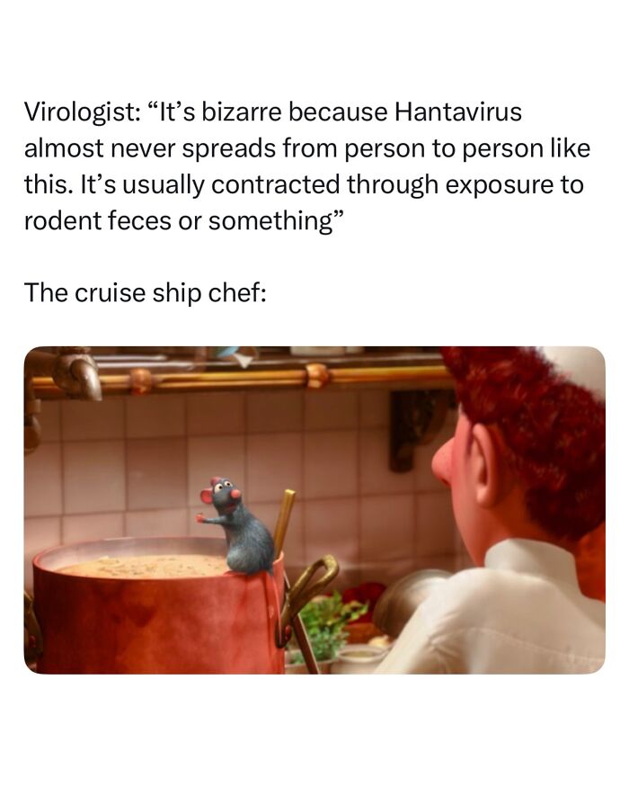 Hantavirus Outbreak: People Are Dealing With The New Virus Panic With Memes, And Here Are XX To Help You Cope