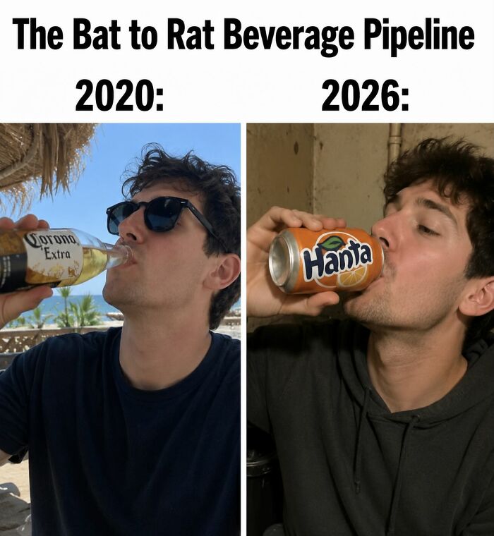 Hantavirus Outbreak: People Are Dealing With The New Virus Panic With Memes, And Here Are XX To Help You Cope