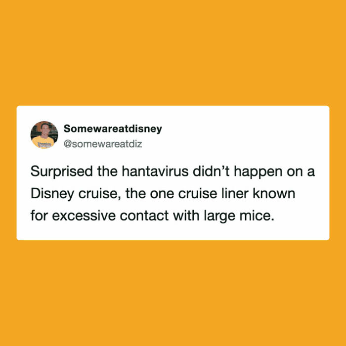 Hantavirus Outbreak: People Are Dealing With The New Virus Panic With Memes, And Here Are XX To Help You Cope