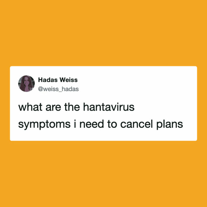 Hantavirus Outbreak: People Are Dealing With The New Virus Panic With Memes, And Here Are XX To Help You Cope