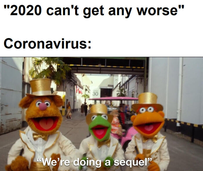Hantavirus Outbreak: People Are Dealing With The New Virus Panic With Memes, And Here Are XX To Help You Cope