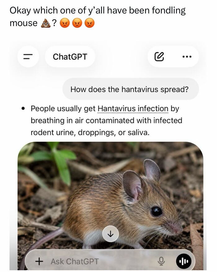 Hantavirus Outbreak: People Are Dealing With The New Virus Panic With Memes, And Here Are XX To Help You Cope