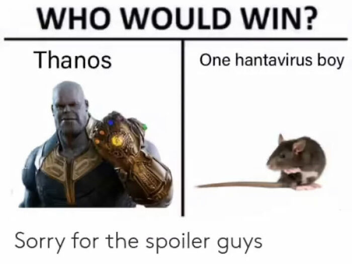 Hantavirus Outbreak: People Are Dealing With The New Virus Panic With Memes, And Here Are XX To Help You Cope