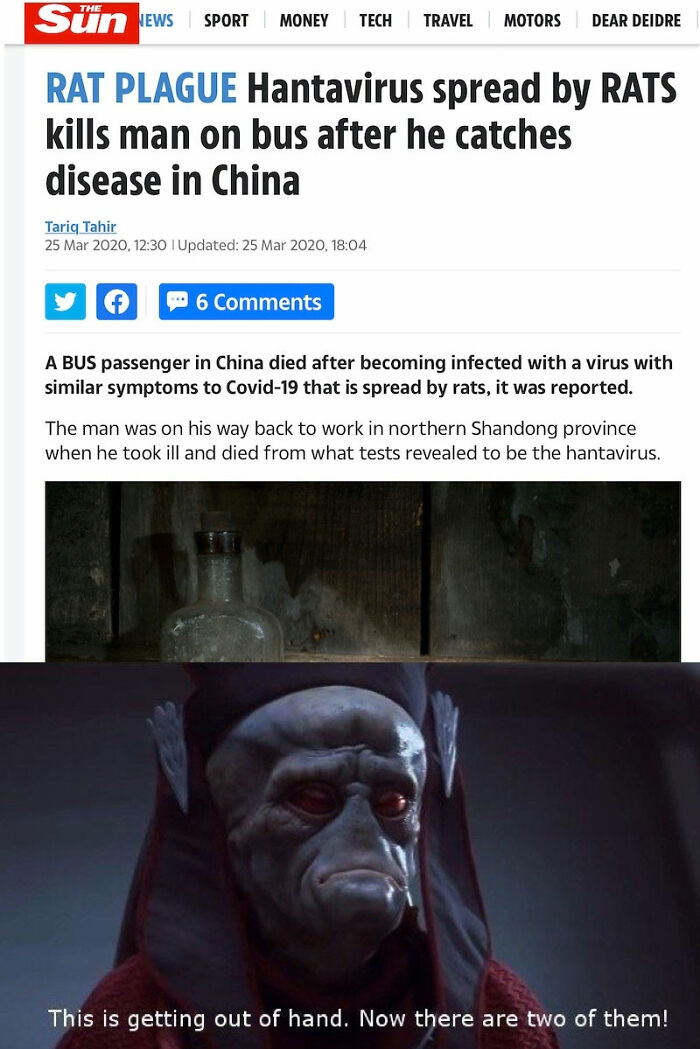 Hantavirus Outbreak: People Are Dealing With The New Virus Panic With Memes, And Here Are XX To Help You Cope