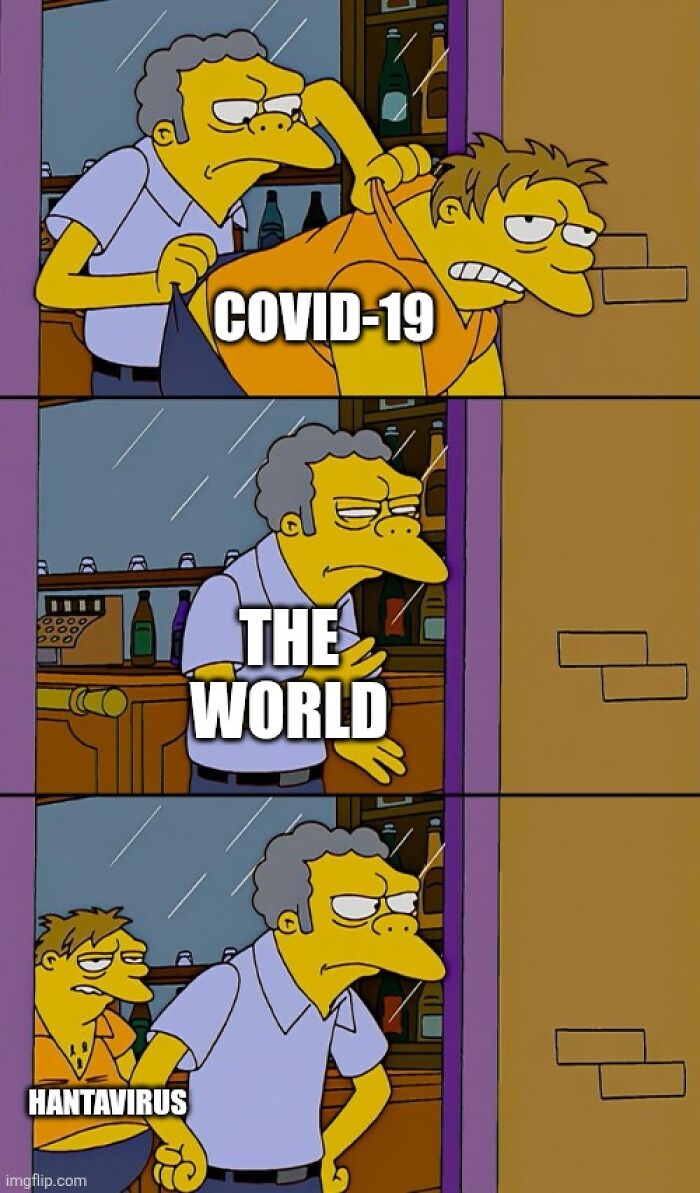 Hantavirus Outbreak: People Are Dealing With The New Virus Panic With Memes, And Here Are XX To Help You Cope