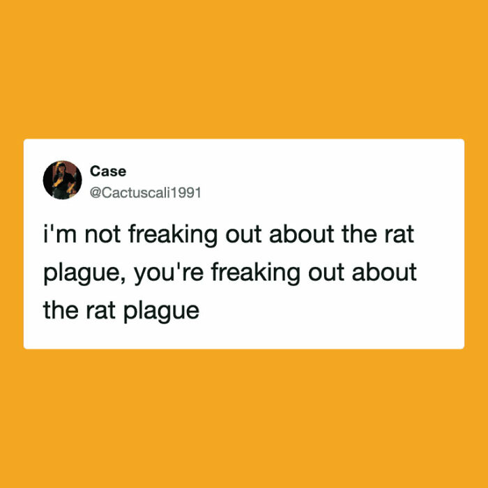 Hantavirus Outbreak: People Are Dealing With The New Virus Panic With Memes, And Here Are XX To Help You Cope