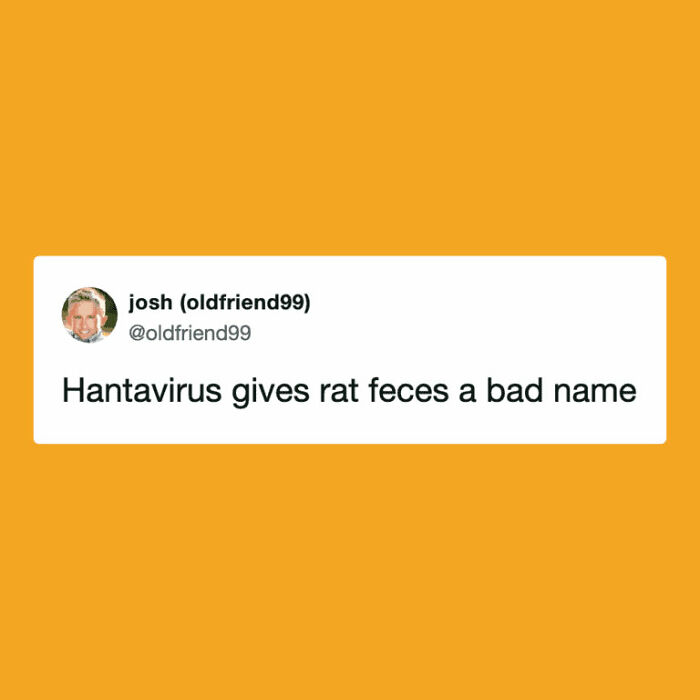 Hantavirus Outbreak: People Are Dealing With The New Virus Panic With Memes, And Here Are XX To Help You Cope