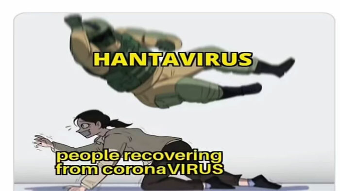 Hantavirus Outbreak: People Are Dealing With The New Virus Panic With Memes, And Here Are XX To Help You Cope