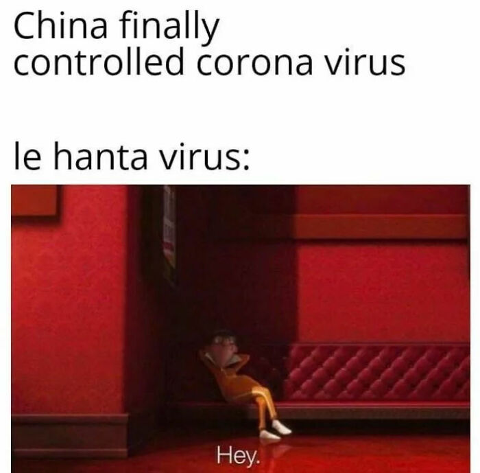 Hantavirus Outbreak: People Are Dealing With The New Virus Panic With Memes, And Here Are XX To Help You Cope