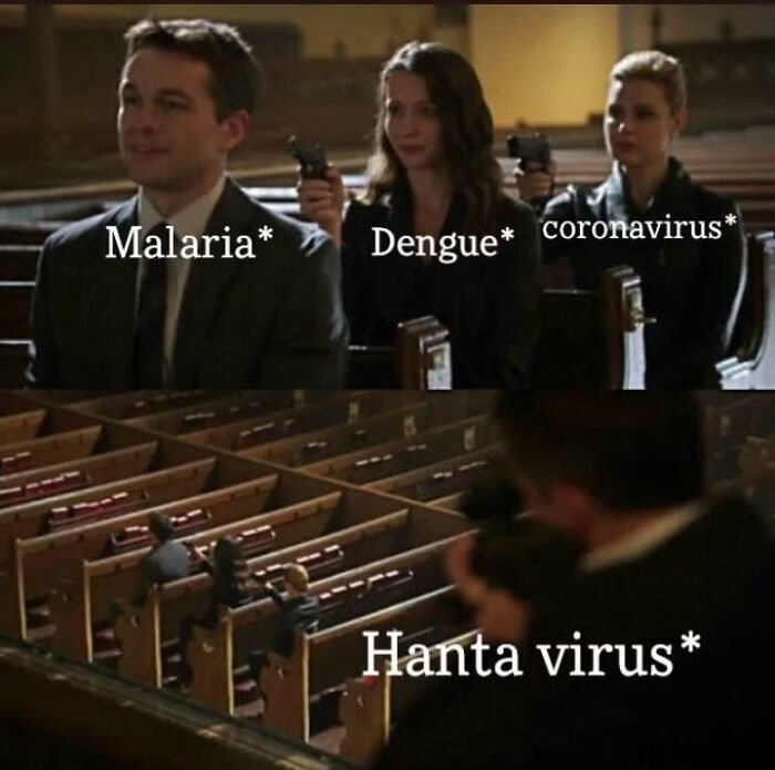 Hantavirus Outbreak: People Are Dealing With The New Virus Panic With Memes, And Here Are XX To Help You Cope