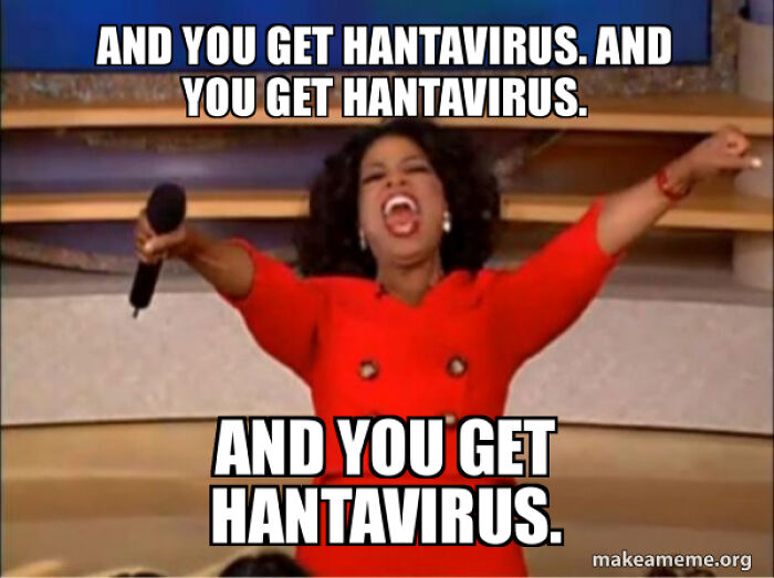 Hantavirus Outbreak: People Are Dealing With The New Virus Panic With Memes, And Here Are XX To Help You Cope