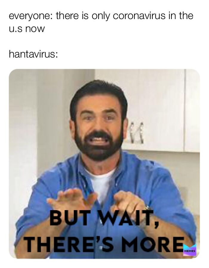 Hantavirus Outbreak: People Are Dealing With The New Virus Panic With Memes, And Here Are XX To Help You Cope