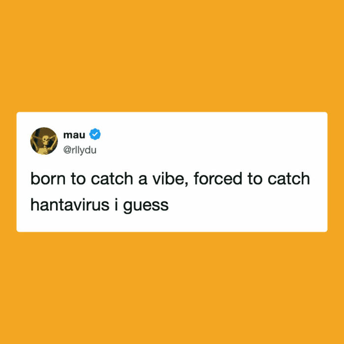 Hantavirus Outbreak: People Are Dealing With The New Virus Panic With Memes, And Here Are XX To Help You Cope