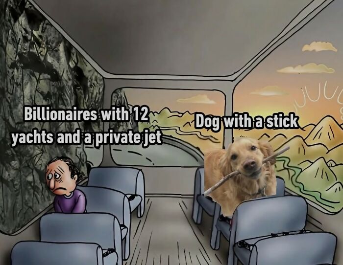 These 41 Random Memes Are The Exact Kind Of Nonsense Your Brain Needs Right Now