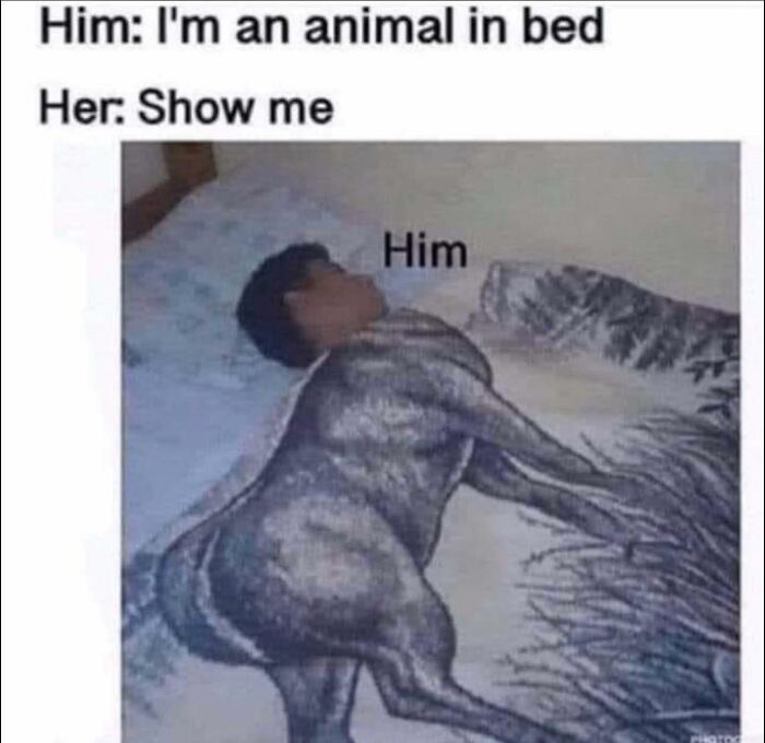 These 41 Random Memes Are The Exact Kind Of Nonsense Your Brain Needs Right Now