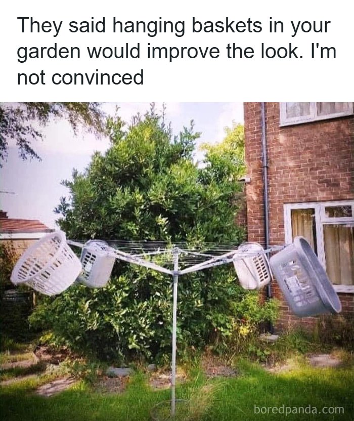 These 41 Random Memes Are The Exact Kind Of Nonsense Your Brain Needs Right Now