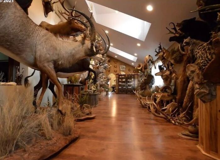 “The Unquestionable Futility Of Existence?”: 79 Of The Wildest Real Estate Listings That Made It To The Market (New Pics)