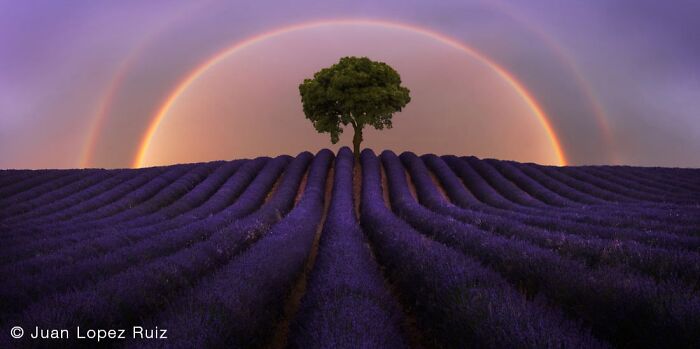 40 Of The Best Panoramic Photos Across The Years Of The Epson International Pano Awards Contest