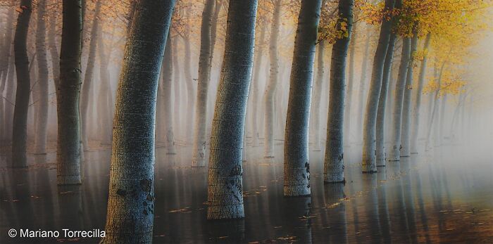 40 Of The Best Panoramic Photos Across The Years Of The Epson International Pano Awards Contest