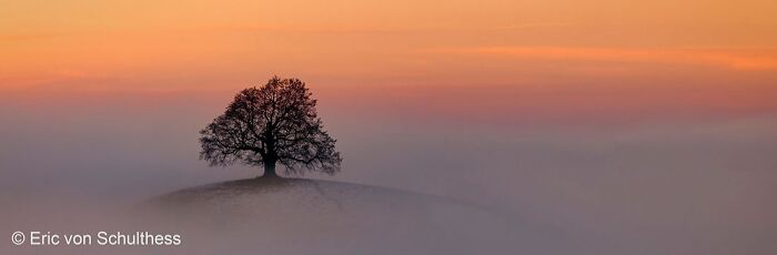 40 Of The Best Panoramic Photos Across The Years Of The Epson International Pano Awards Contest