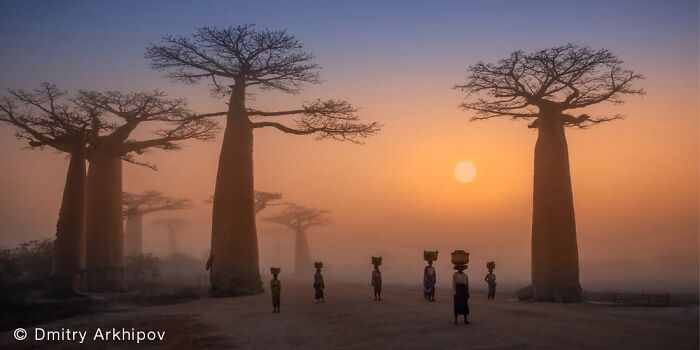 40 Of The Best Panoramic Photos Across The Years Of The Epson International Pano Awards Contest
