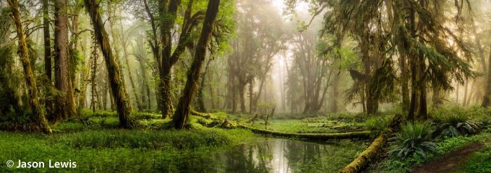 40 Of The Best Panoramic Photos Across The Years Of The Epson International Pano Awards Contest