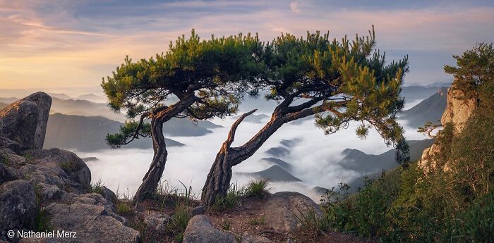 40 Of The Best Panoramic Photos Across The Years Of The Epson International Pano Awards Contest