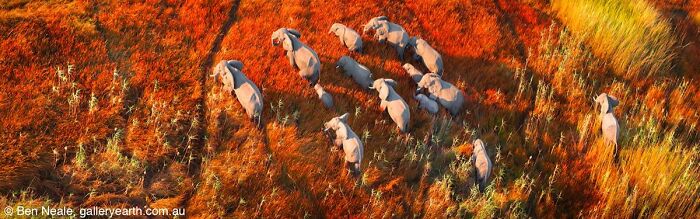 40 Of The Best Panoramic Photos Across The Years Of The Epson International Pano Awards Contest
