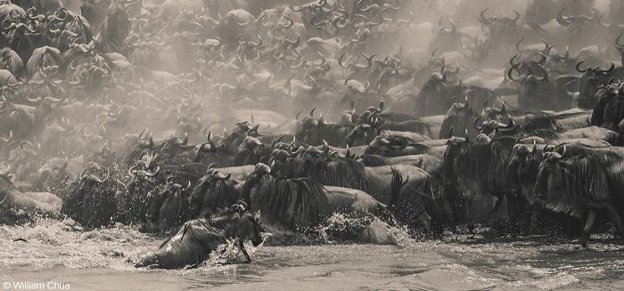 40 Of The Best Panoramic Photos Across The Years Of The Epson International Pano Awards Contest