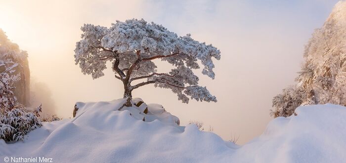 40 Of The Best Panoramic Photos Across The Years Of The Epson International Pano Awards Contest
